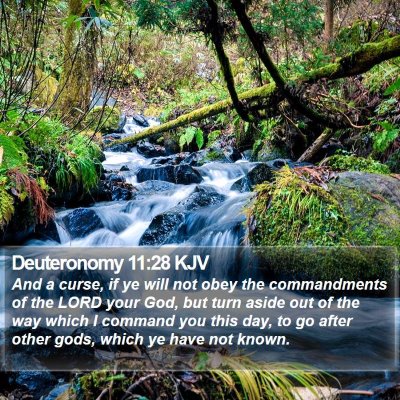 Deuteronomy 11:28 KJV Bible Verse Image