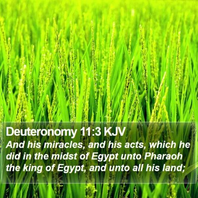 Deuteronomy 11:3 KJV Bible Verse Image
