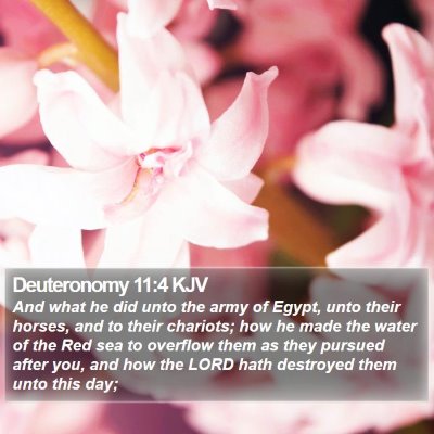 Deuteronomy 11:4 KJV Bible Verse Image