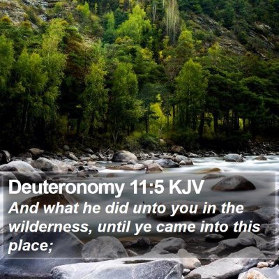 Deuteronomy 11:5 KJV Bible Verse Image