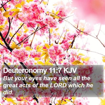 Deuteronomy 11:7 KJV Bible Verse Image