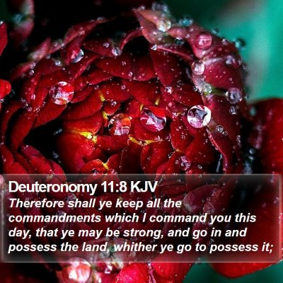 Deuteronomy 11:8 KJV Bible Verse Image