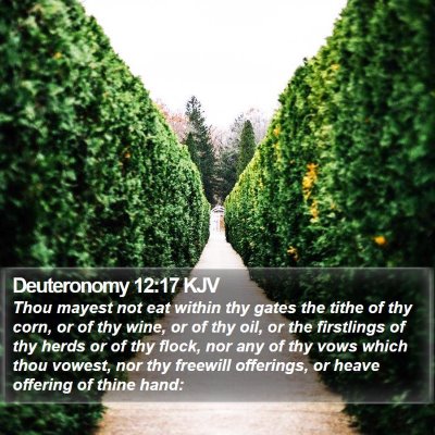 Deuteronomy 12:17 KJV Bible Verse Image