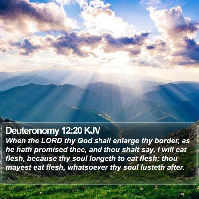 Deuteronomy 12:20 KJV Bible Verse Image