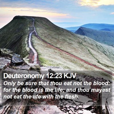 Deuteronomy 12:23 KJV Bible Verse Image