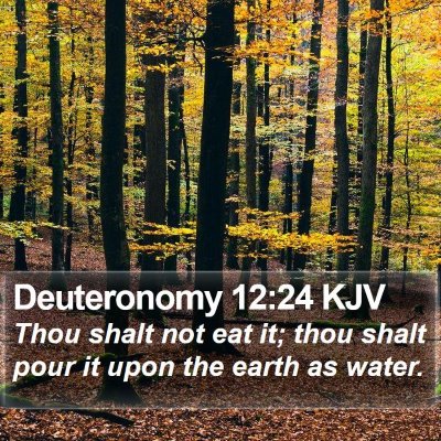 Deuteronomy 12:24 KJV Bible Verse Image