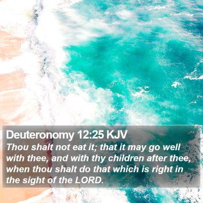 Deuteronomy 12:25 KJV Bible Verse Image