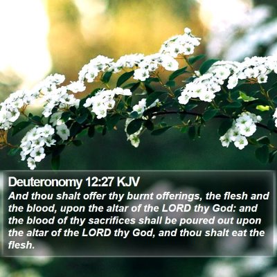 Deuteronomy 12:27 KJV Bible Verse Image