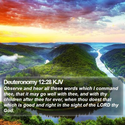 Deuteronomy 12:28 KJV Bible Verse Image