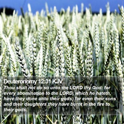 Deuteronomy 12:31 KJV Bible Verse Image