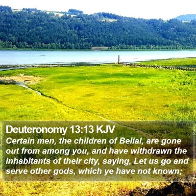 Deuteronomy 13:13 KJV Bible Verse Image