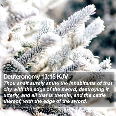 Deuteronomy 13:15 KJV Bible Verse Image