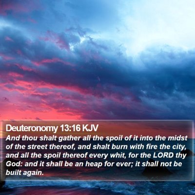 Deuteronomy 13:16 KJV Bible Verse Image