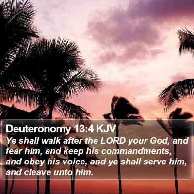 Deuteronomy 13:4 KJV Bible Verse Image