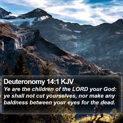 Deuteronomy 14:1 KJV Bible Verse Image
