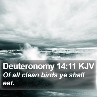 Deuteronomy 14:11 KJV Bible Verse Image