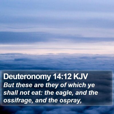 Deuteronomy 14:12 KJV Bible Verse Image