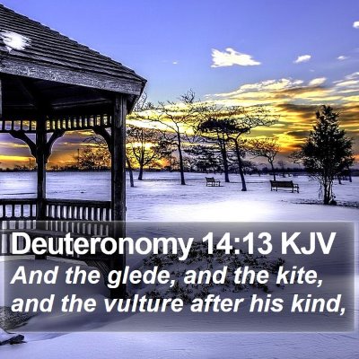 Deuteronomy 14:13 KJV Bible Verse Image