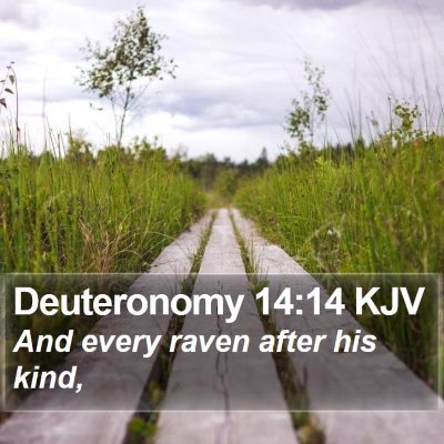 Deuteronomy 14:14 KJV Bible Verse Image