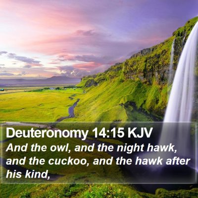 Deuteronomy 14:15 KJV Bible Verse Image