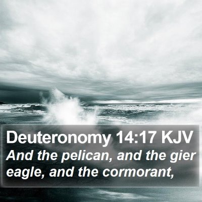 Deuteronomy 14:17 KJV Bible Verse Image
