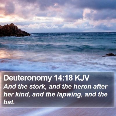 Deuteronomy 14:18 KJV Bible Verse Image