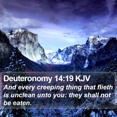 Deuteronomy 14:19 KJV Bible Verse Image