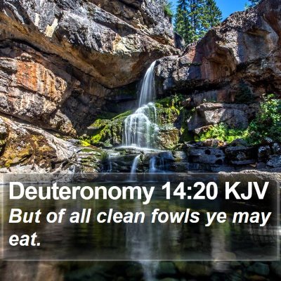 Deuteronomy 14:20 KJV Bible Verse Image