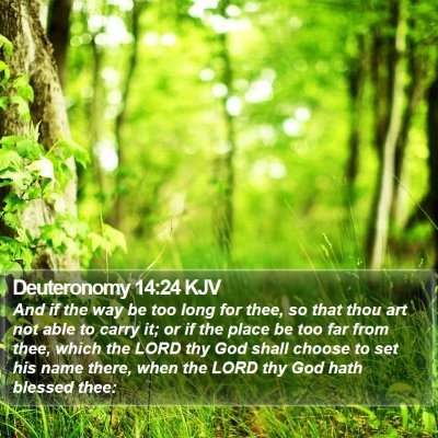 Deuteronomy 14:24 KJV Bible Verse Image