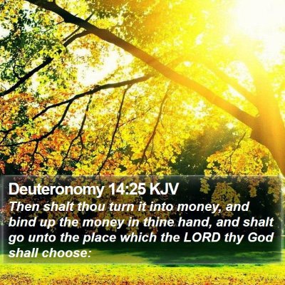 Deuteronomy 14:25 KJV Bible Verse Image