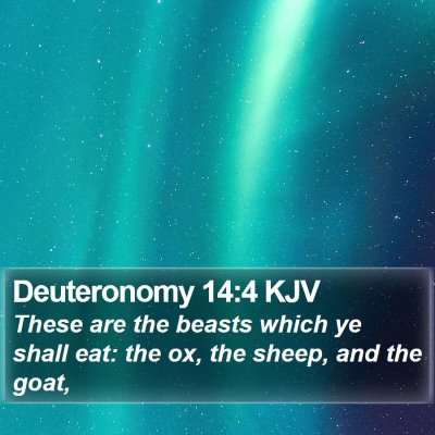Deuteronomy 14:4 KJV Bible Verse Image