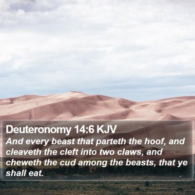 Deuteronomy 14:6 KJV Bible Verse Image