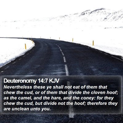 Deuteronomy 14:7 KJV Bible Verse Image