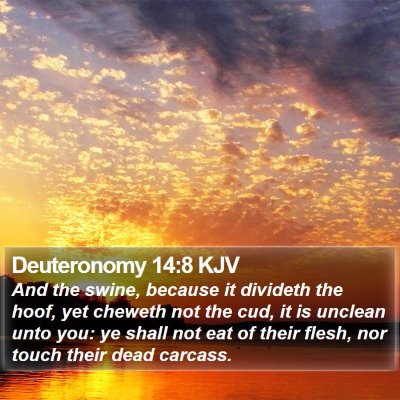 Deuteronomy 14:8 KJV Bible Verse Image