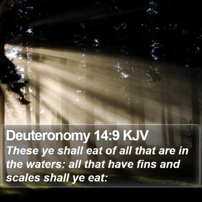 Deuteronomy 14:9 KJV Bible Verse Image