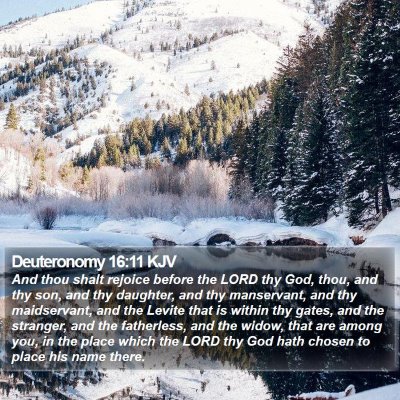 Deuteronomy 16:11 KJV Bible Verse Image