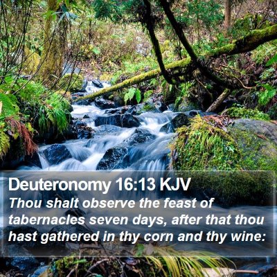 Deuteronomy 16:13 KJV Bible Verse Image