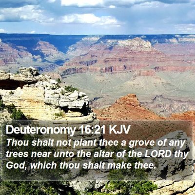 Deuteronomy 16:21 KJV Bible Verse Image