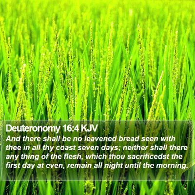 Deuteronomy 16:4 KJV Bible Verse Image