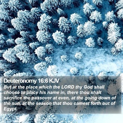 Deuteronomy 16:6 KJV Bible Verse Image