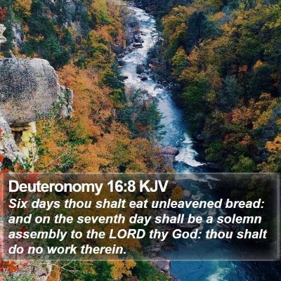 Deuteronomy 16:8 KJV Bible Verse Image