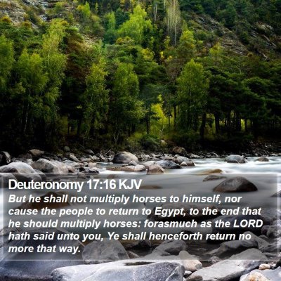 Deuteronomy 17:16 KJV Bible Verse Image