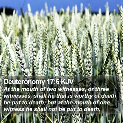 Deuteronomy 17:6 KJV Bible Verse Image
