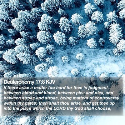 Deuteronomy 17:8 KJV Bible Verse Image