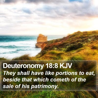 Deuteronomy 18:8 KJV Bible Verse Image