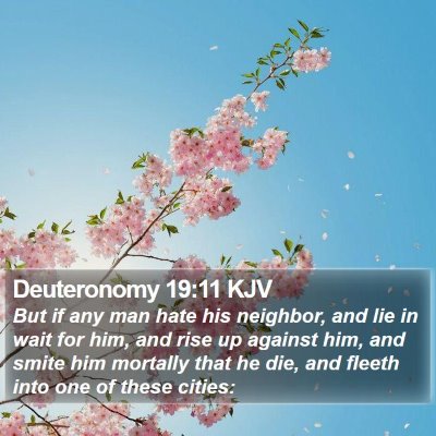 Deuteronomy 19:11 KJV Bible Verse Image