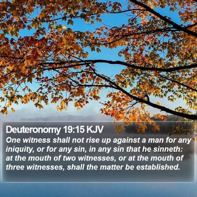 Deuteronomy 19:15 KJV Bible Verse Image