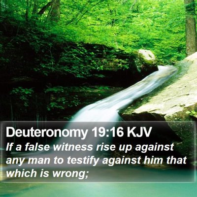 Deuteronomy 19:16 KJV Bible Verse Image