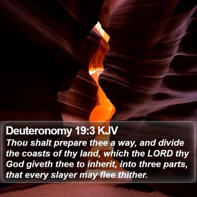Deuteronomy 19:3 KJV Bible Verse Image