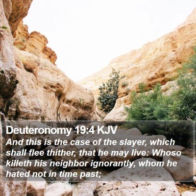 Deuteronomy 19:4 KJV Bible Verse Image